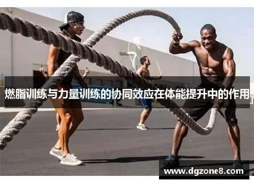燃脂训练与力量训练的协同效应在体能提升中的作用